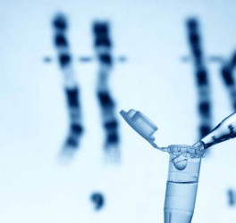 Un virus directo contra la porfiria