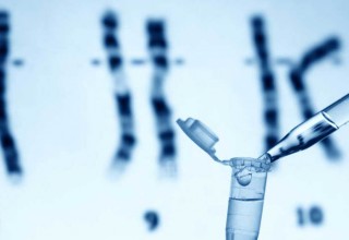 Un virus directo contra la porfiria