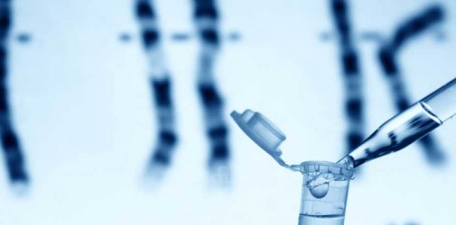 Un virus directo contra la porfiria